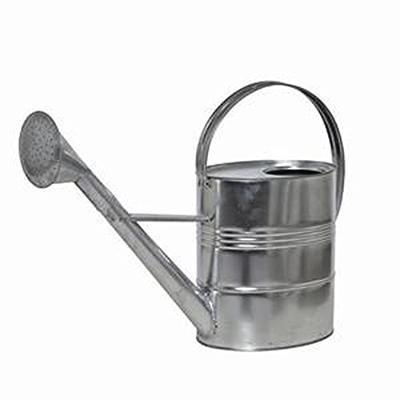 Siena Garden 2381629 Zinkgießkanne 10l, silber Stahlblech, verzinkt Gieter 10 l