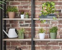 Pot - ARTEVASI - SAN REMO - 42m - Wit - thumbnail