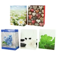Geschenktas 25 cm 5 assorti | 25 stuks - thumbnail