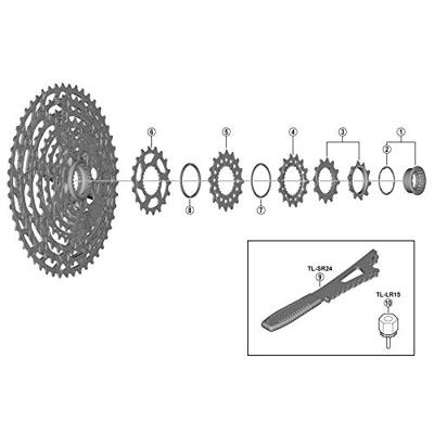Shimano Sprocket Wheel for CS-M8100/M7100