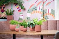 Capi Bloempot Cilinder Groove Groen Ø15cm - thumbnail