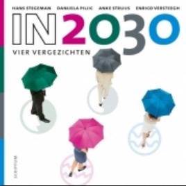 In 2030 - Hans Stegeman, Danijela Piljic, Anke Struijs, Enrico Versteegh - ebook