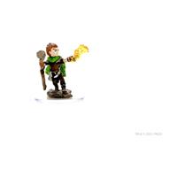 Pathfinder Battles: Male Gnome Druid Premium Painted Figure - thumbnail
