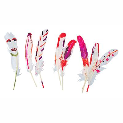 Colorations natuurlijke witte veren, 48st.