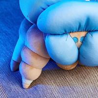 Destiny Pluche - Screeb Hatchling - thumbnail