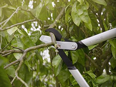 Fiskars Powergear x takkenschaar LX92