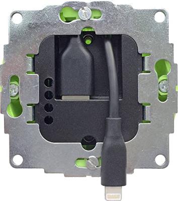 Smart Things AC/DC-inbouwnetvoeding s24 l Geschikt voor Apple product: iPad