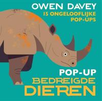 Pop-up bedreigde dieren (Hardback) - thumbnail
