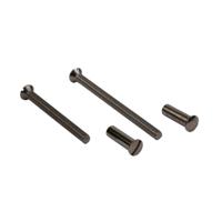 AMI Zakje Patentbout M4*38 (2 Schroef + 2 Huls) - 900098 - thumbnail