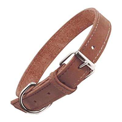 Hondenhalsband Gloria Oasis Bruin (65 x 3 cm)