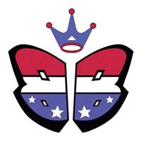 Bluebird Micro-servo BMS-115HV Digitale servo Materiaal (aandrijving): Metaal Stekkersysteem: JR - thumbnail