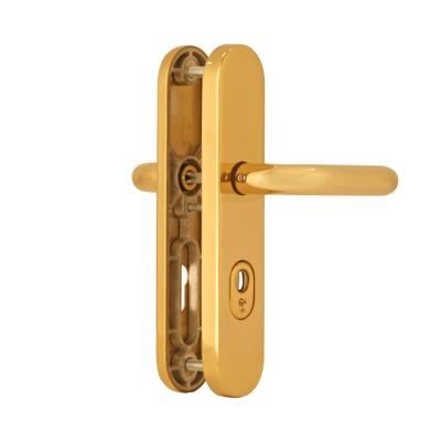 Dieckmann Europa messing gepolijst achterdeurbeslag met binnen en buiten Kruk en afgerond schild D8648M