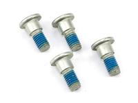 TRW bouten set screw set 4pcs. m8x1,25 - thumbnail