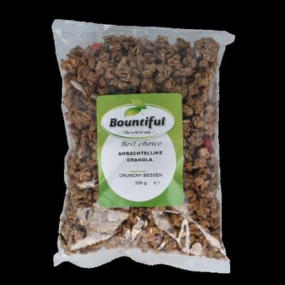 Bountiful Ambachtelijke granola krunchy bessen 350 Gram