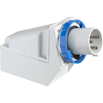 Schneider Electric 81591 81591 CEE-wandstekker 125 A 250 V 1 stuk(s)