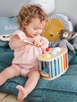 2-in-1 tap tap xylofoon van hout meerkleurig - thumbnail