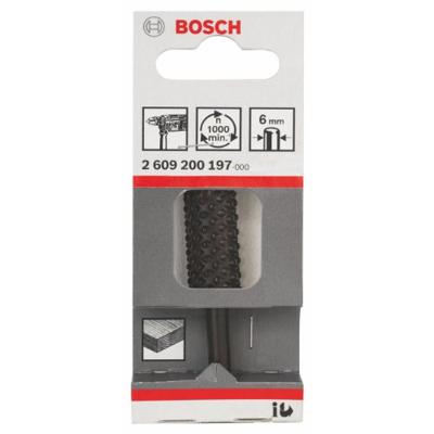 Bosch Accessoires Houtrasp en -vijlen 6 x 14 mm 1st - 2609200197