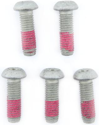 TRW bouten-set screw 5pcs. for brake rotors,5 pcs.