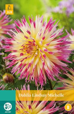 Dahlia Lindsay Michelle Bloembol JUB 1 bol - Jub