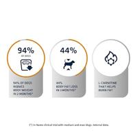 Advance veterinary diet dog weight balance medium / maxi - thumbnail