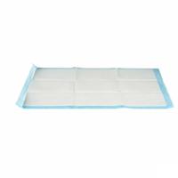 Zindelijkheidstraining-pads voor honden 60 x 90 cm Blauw Wit Papier Polyethyleen (10 Stuks) - thumbnail