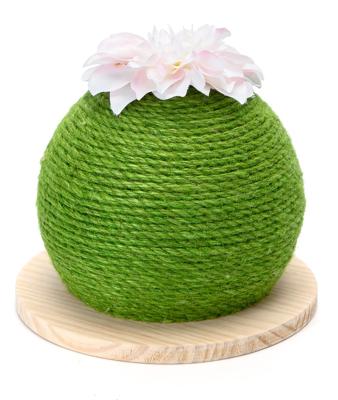 Nobleza Katten krabbol - Cactus - Groen - 23 cm Nobleza Katten krabbol - Cactus - Groen - 23 cm