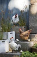 Powertex • textielverharder 500g lood - thumbnail