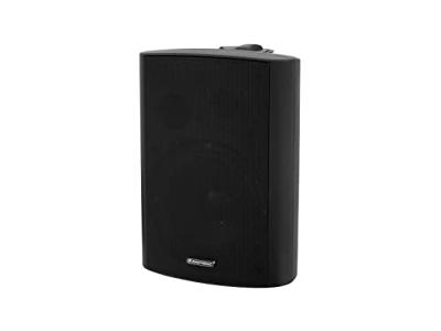 Omnitronic WP-6S PA-wandluidspreker 40 W Zwart 1 stuk(s)