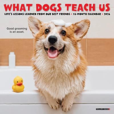 What Dogs Teach Us Kalender 2026 Mini What Dogs Teach Us Kalender 2026 Mini