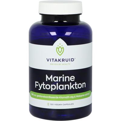 Marine Fytoplankton