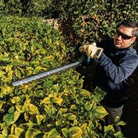 Makita DUH606RT Accu Heggenschaar 60cm 18V 5.0Ah - thumbnail