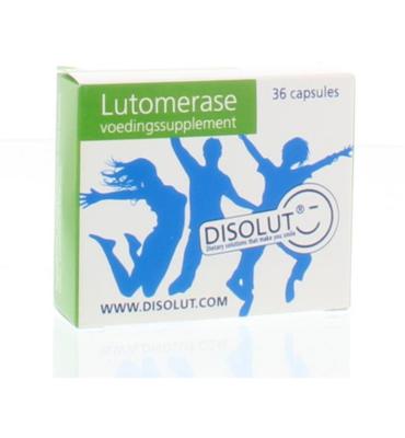 Lutomerase 36ca 36ca