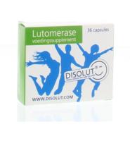 Lutomerase 36ca 36ca - thumbnail