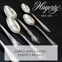 Hagerty Silver Duster - thumbnail