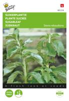 Stevia, Suikerplantje of Honingkruid Zaden Buzzy Seeds - Buzzy - thumbnail