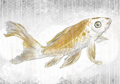 Noordwand Komar Raw Fotobehang Golden Koi - RSX8-049