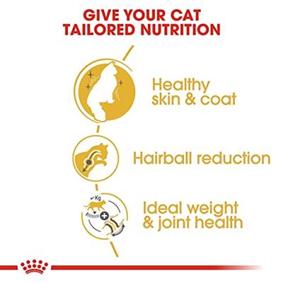 Royal Canin Adult Noorse Boskat kattenvoer 2 x 2 kg - thumbnail
