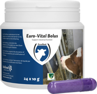 Euro-Vital Bolus - thumbnail