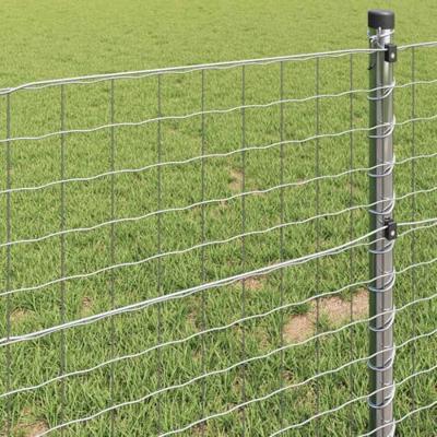 Euro Hek Zilver 1 x 10 m Warmverzinkt ijzer