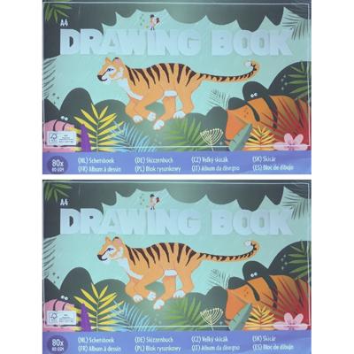 2x Schetsboeken/tekenboeken A4 Formaat 80 Vellen - Schetsboeken
