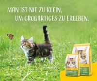 JOSERA Kitten grainvrij (1 x 2 kg) | graanvrij kattenvoer met zalmolie | super premium droogvoer voor groeiende katten | 1 stuk verpakt - thumbnail