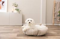 Trixie hondenmand livia rond zand - thumbnail