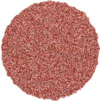 PFERD TOOLS CD 20 A 80 42750208 Schuurblad Korrelgrootte (num) 80 (Ø) 20 mm 100 stuk(s) - thumbnail