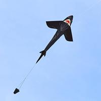 Ecoline Vlieger Shark Kite 5 Spanwijdte 1500 mm - thumbnail