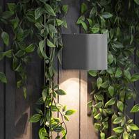 LED Wandlamp voor Buiten 2.4 W 230 lm Donkergrijs - thumbnail