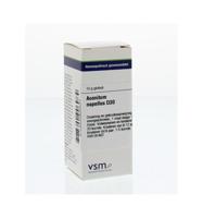 Vsm Aconitum Napellus D30 (10g) - thumbnail