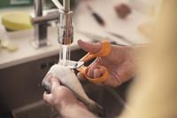 Fiskars 1000819 Huishoudschaar Rechtshandig 180 mm Oranje - thumbnail