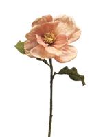 Magnolia Alice roze 66cm - thumbnail