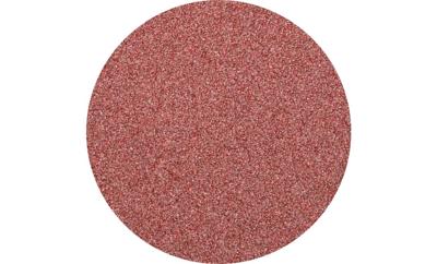 PFERD TOOLS CDR 50 A 60 FORTE 42771506 Schuurblad Korrelgrootte (num) 60 (Ø) 50 mm 100 stuk(s)