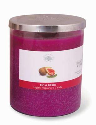 Green Tree Geurkaars Figs & Herbs (400 gram)